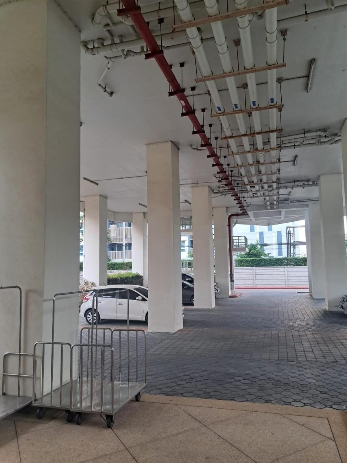 Apartment Spacious In Palm Pavilion Near Airport *